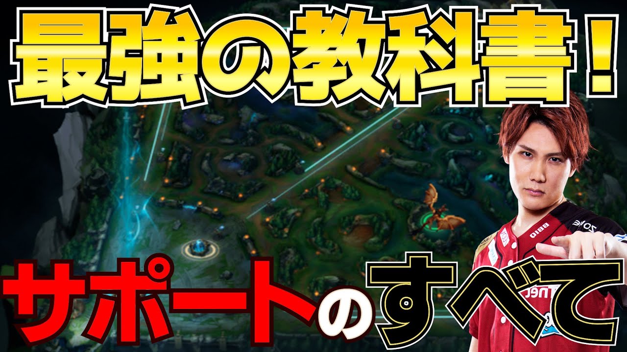 【LoL】サポートのすべて。ランクで勝つ為の最強教科書動画【えんてぃ】