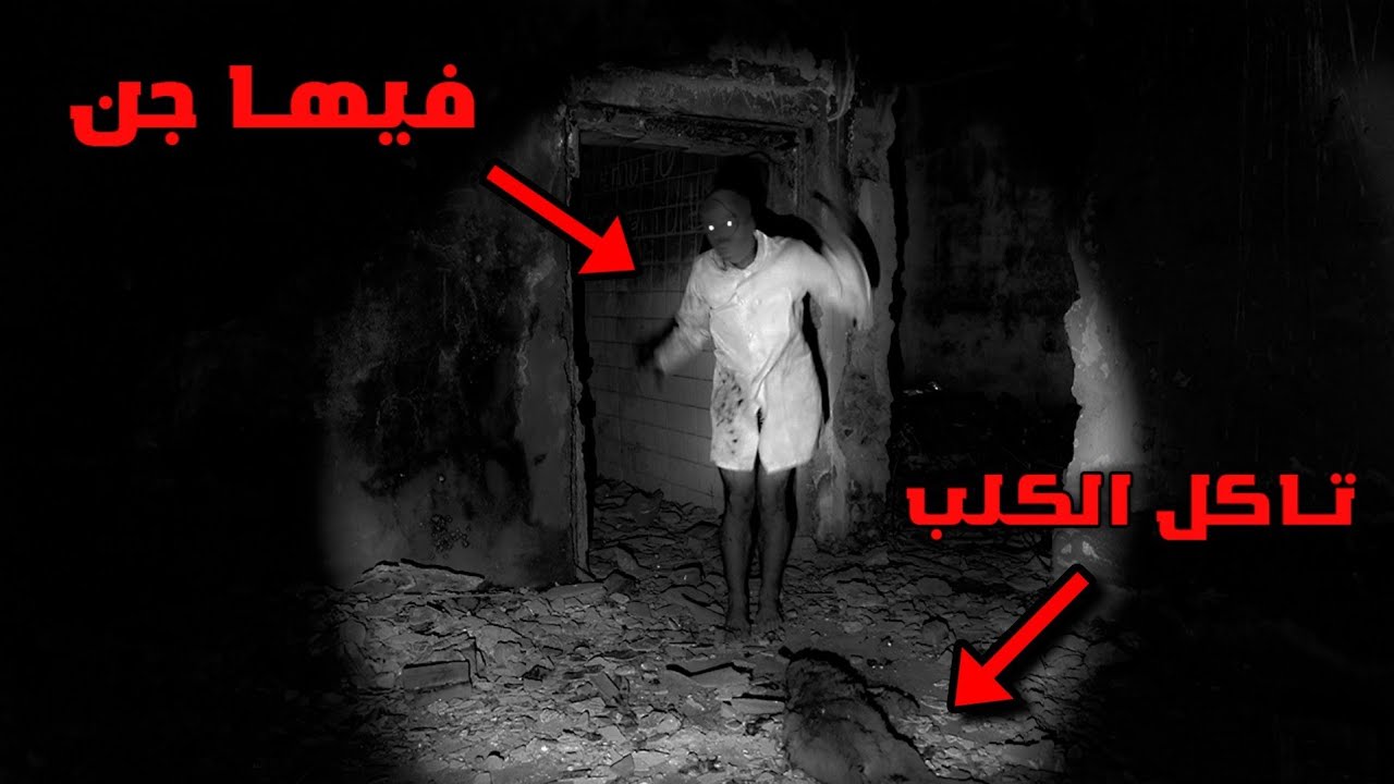 خبرتني فتاة ان كلبها مفقود في مكان مهجور رحت و كانت الصدمة