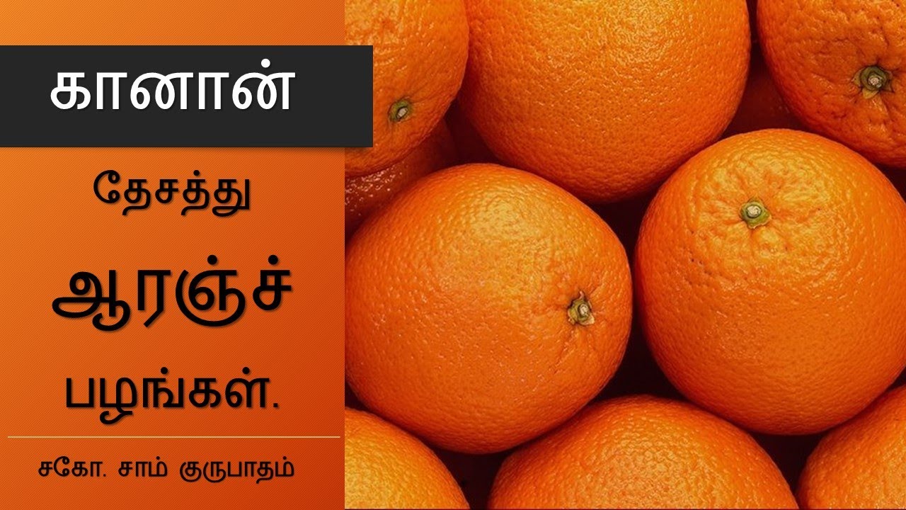 கானான் தேசத்து ஆரஞ்சு பழங்கள்  || Canaan Oranges || Sam Gurubatham || Bible Lessons