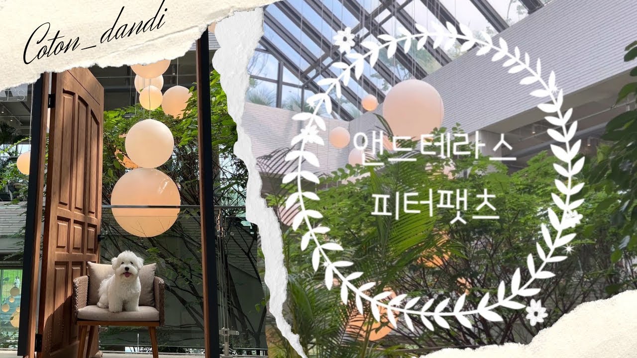 앤드테라스 피터팻츠 내유점 다녀왔어요