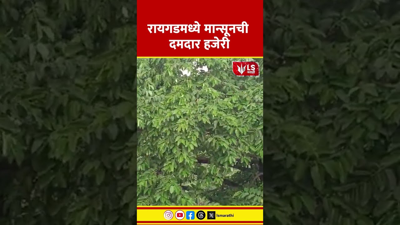 Raigad Rain News | रायगडमध्ये मान्सूनची दमदार हजेरी
