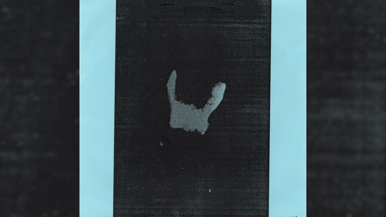Birds Of Delay / Goldblood – Dreamt Afterbirth / The Agony Booth (2006)