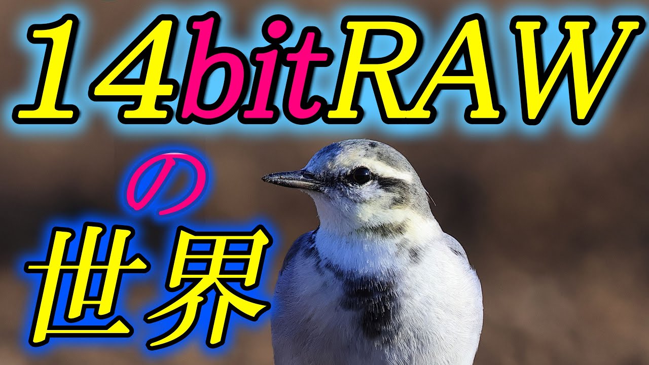 Мир 14-битного RAW
