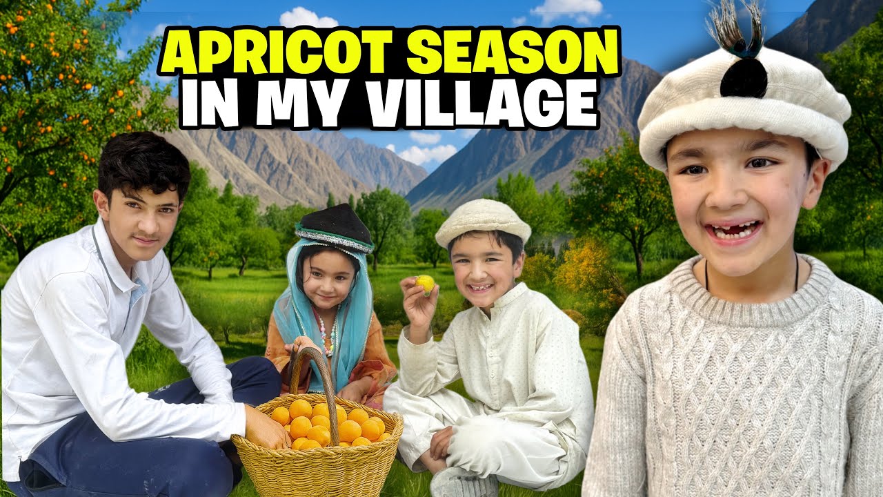 You’ve Never Seen Apricots Like This! 🍑 | Shiraz & Muskan’s Village Surprise!