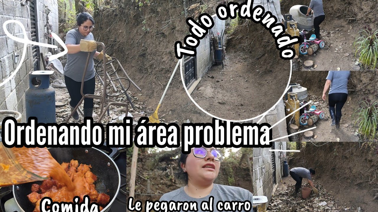 Orden en mi área problema ✅👩🏻‍🌾/ Le pegaron al carro 🚗❌/ comida dely 🤤