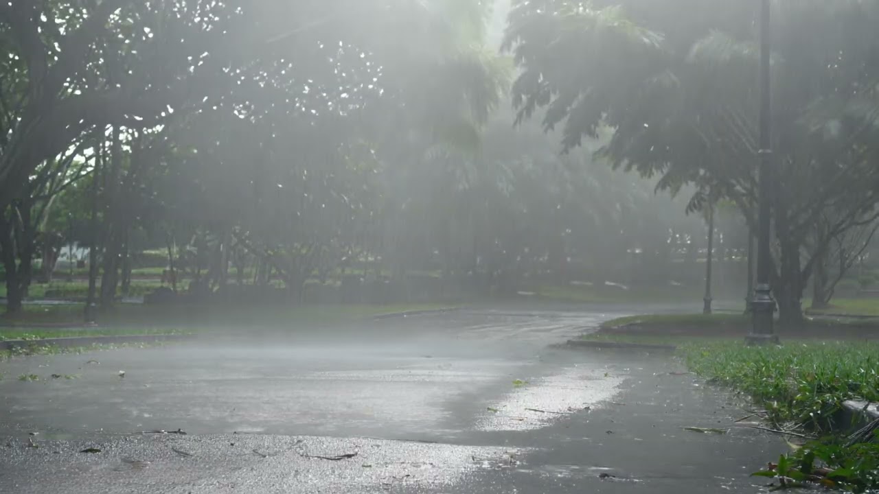 Rainy Serenity in the Park | Peaceful Tropical Downpour Ambience 🌧️🌿