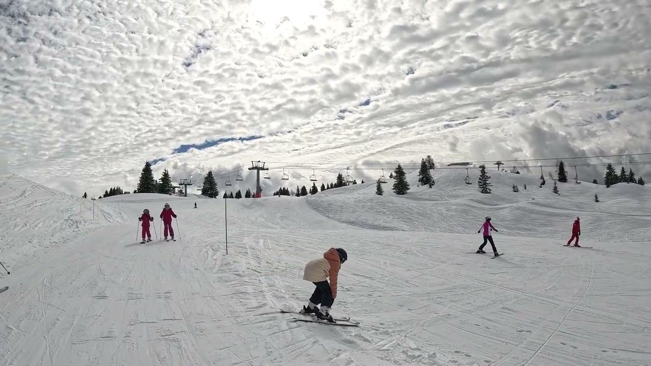 Les Houches Prarion