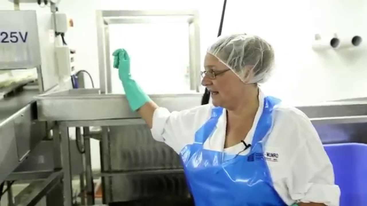 Ontario Aquaculture - Processing Rainbow Trout