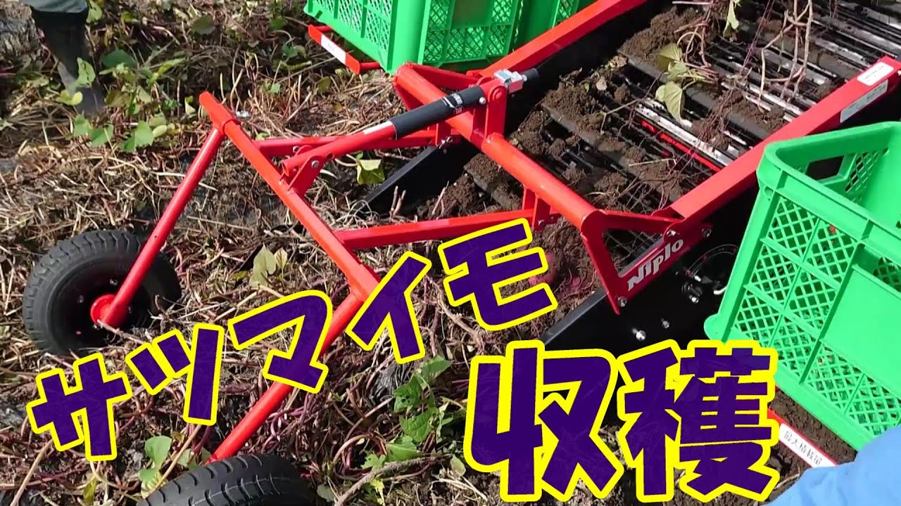 【松山農機】【自走式馬鈴薯収穫機】ニプロプチハーベスターでサツマイモの収穫！？