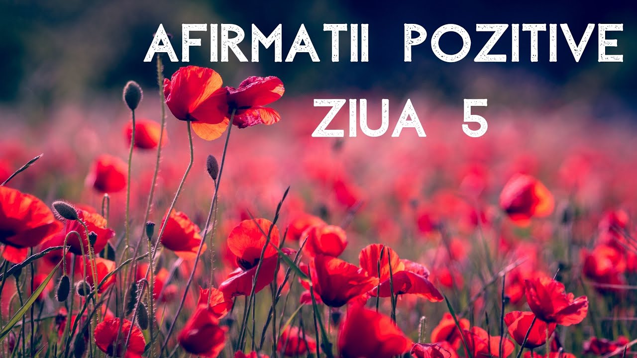 Afirmații Pozitive ZIUA 5 - SUCCES
