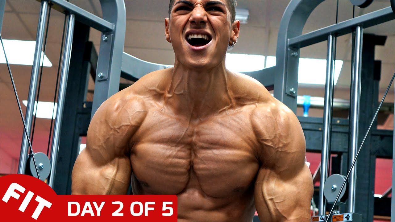 ANDREI DEIU MASSIVE CHEST PUMP - DAY 2 OF 5