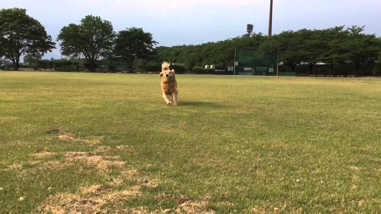社長と店長の休日