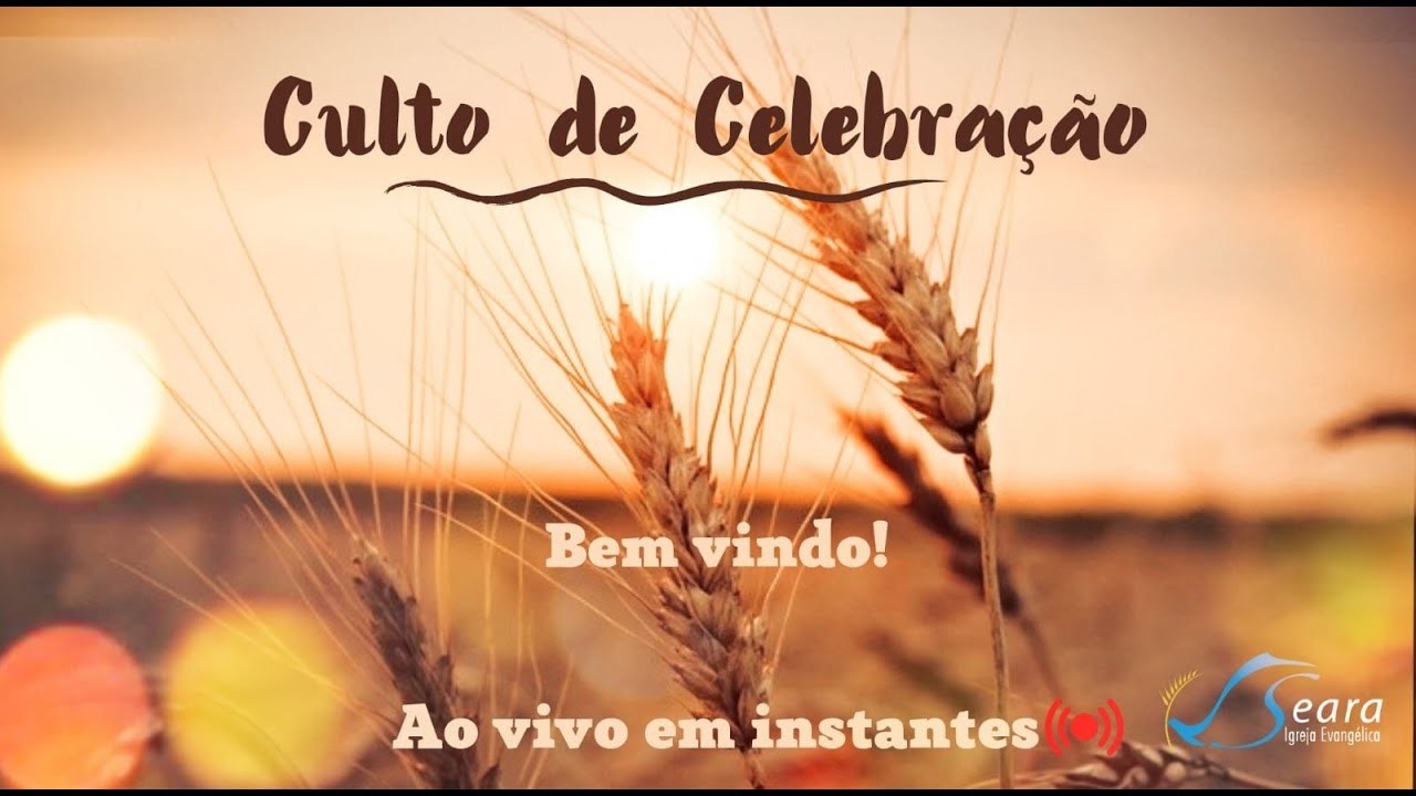 Igreja Seara - Culto Celebração -  08/03/2026