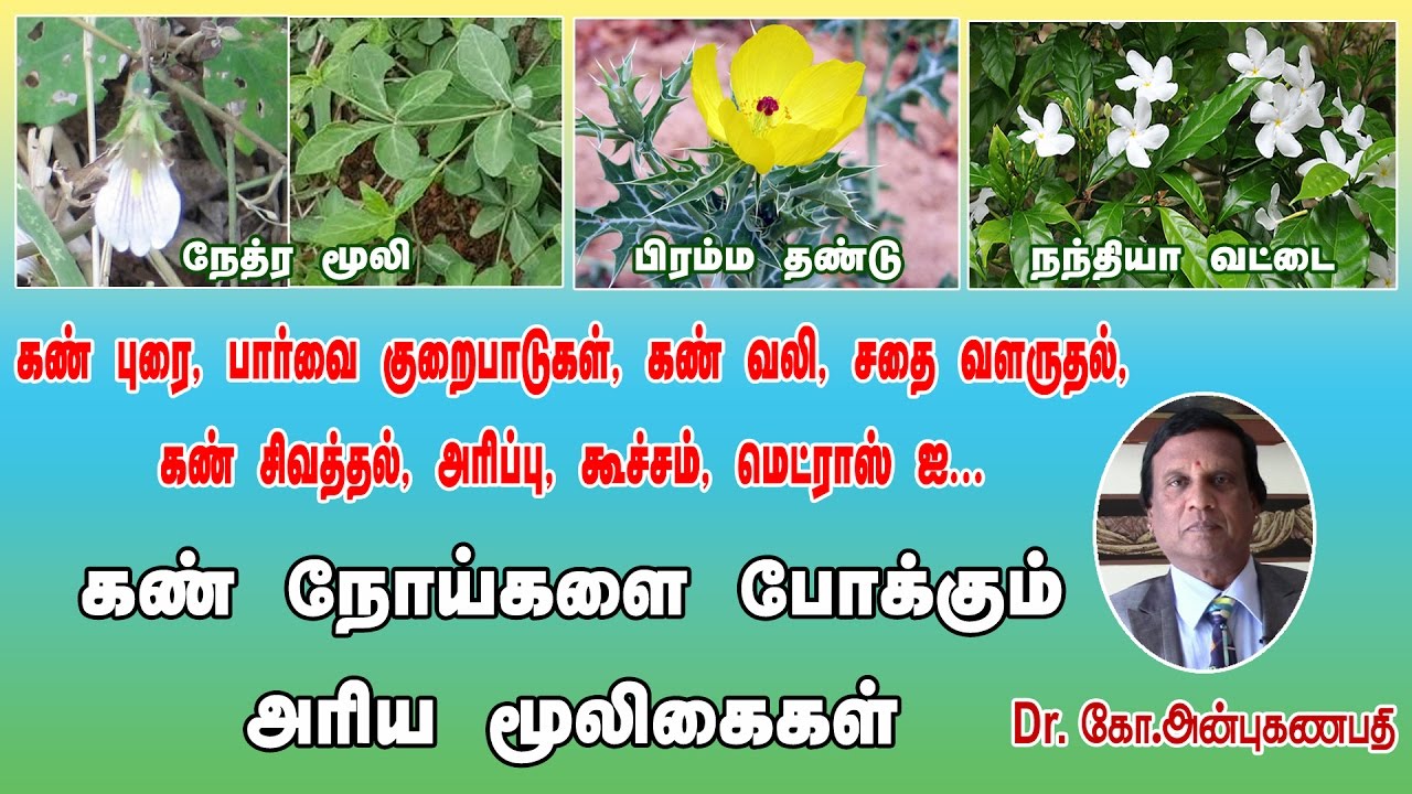 கண் நோய்களை போக்கும் அரிய மூலிகைகள் | Using herbs to treat Eye problems in Tamil (Siddha Medicine)