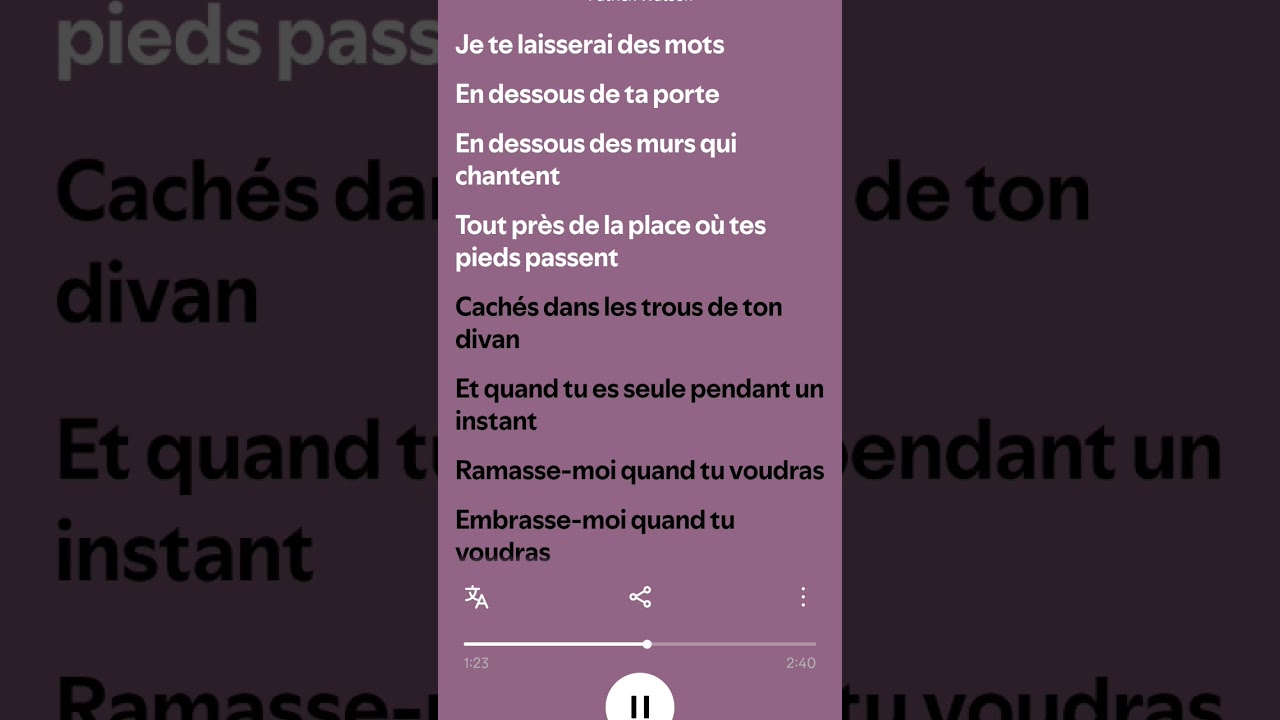 it's such a sad song honestly btw I don't speak french