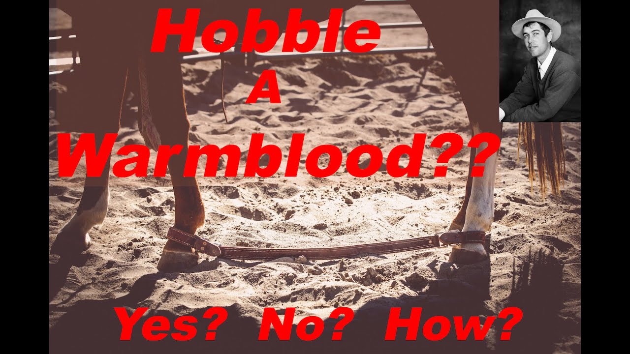 Полезно ли хромать теплокровным?