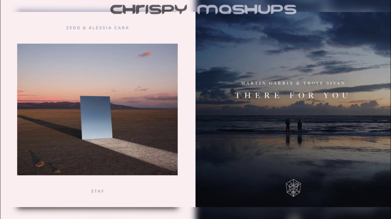 Zedd & Martin Garrix - Stay / There For You [Ft. Alessia Cara & Troye Sivan] (Mashup)