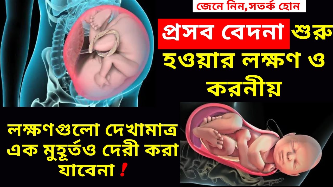 গর্ভবতী মায়ের প্রসব বেদনা শুরু হওয়ার লক্ষণ ও করনীয় । প্রসব বেদনার ৪টি লক্ষণ ও করনীয় ।