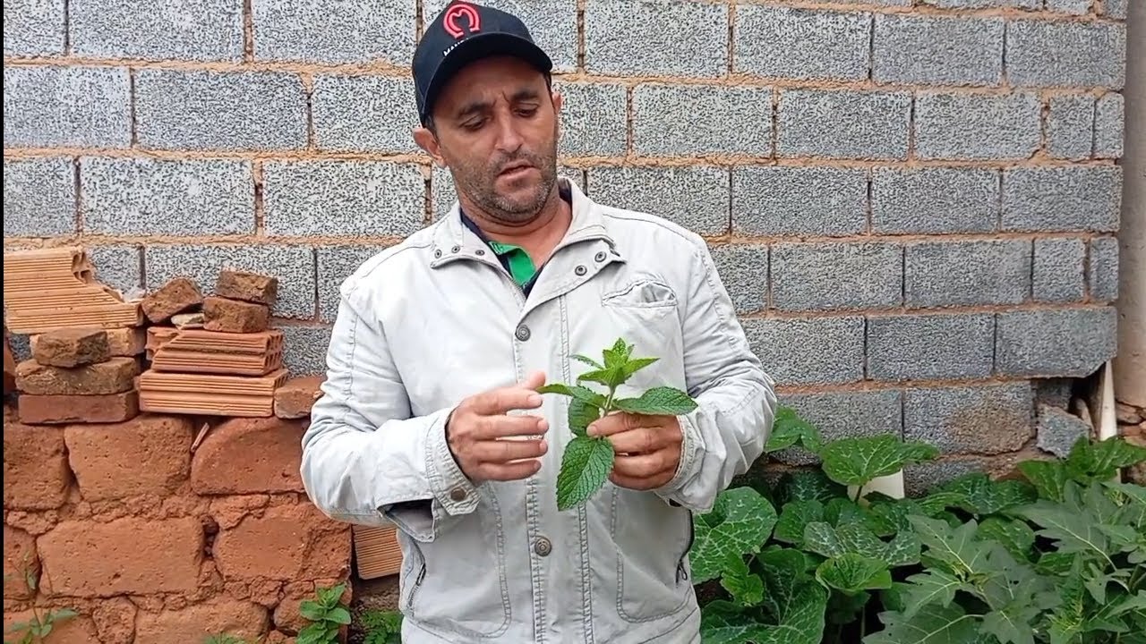 Marcos Baliza Mostrando Á Sua Hortaliça 