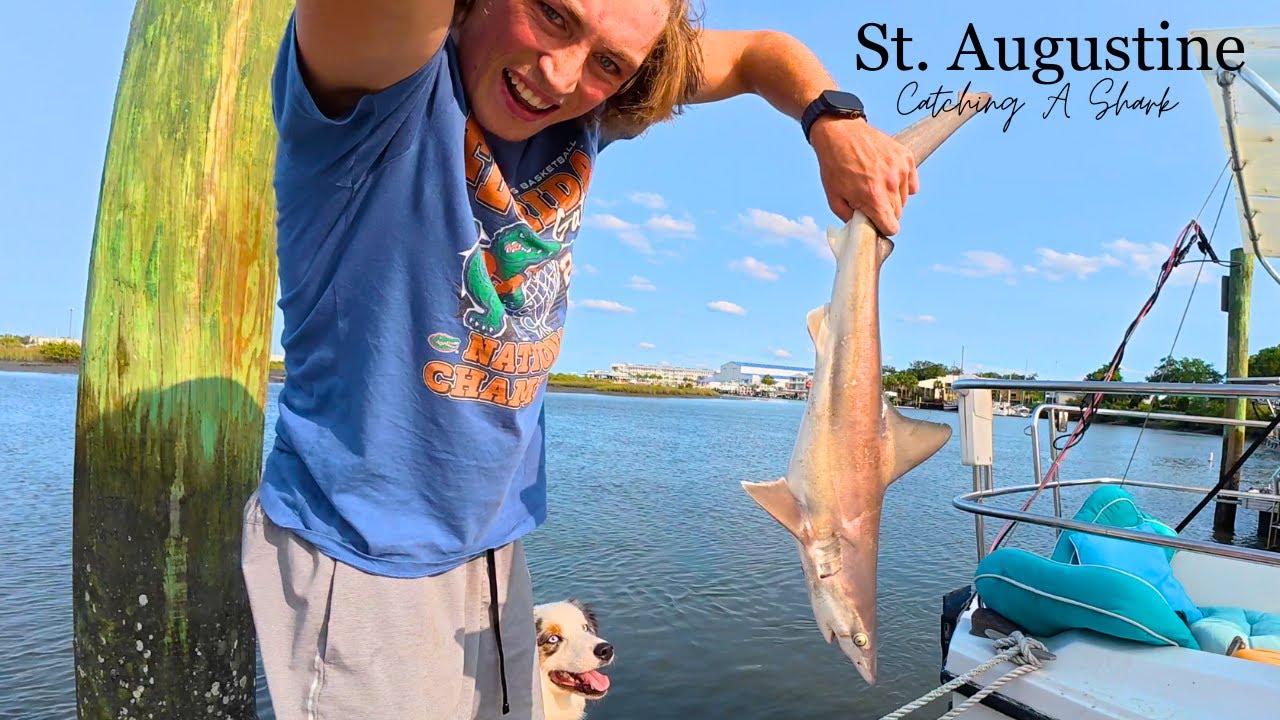 Catching My First Shark in America's Oldest Town from a Sailboat
