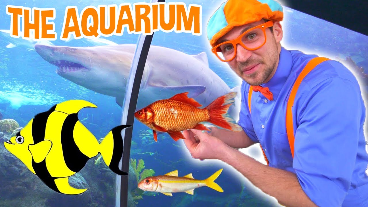 Blippi Visits The Aquarium and MORE! | Educational Fish and Animals for Kids and Toddlers