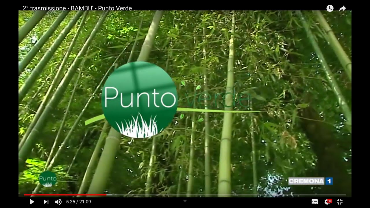 2° trasmissione - BAMBU' -  Punto Verde
