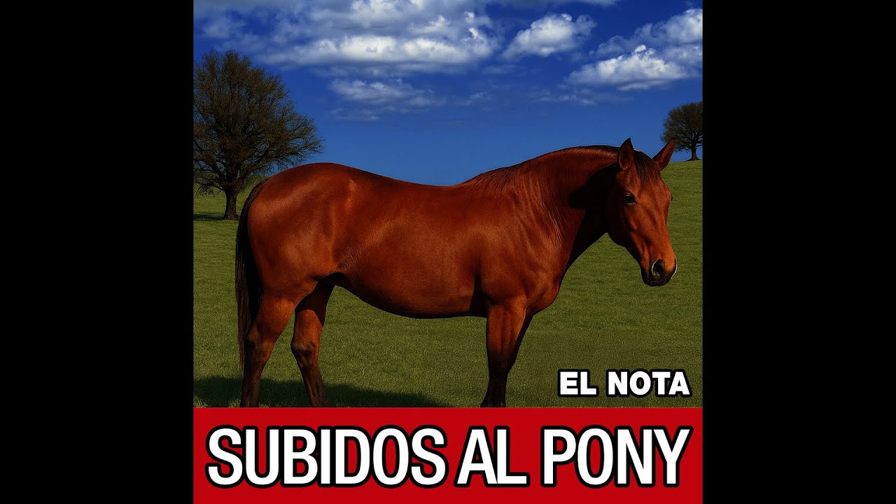 EL NOTA - Subidos al Pony (Full album oficial)