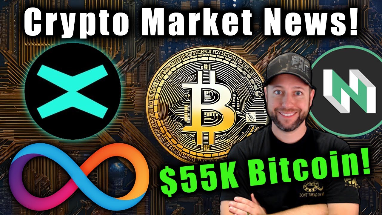 Crypto Pumps, Stocks Dump! ICP, EGLD & CKB Updates!!