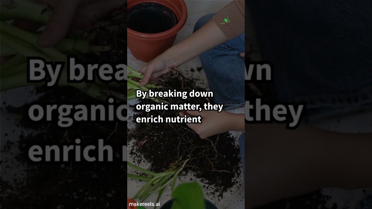 #earthanalyticalab #vedicbiochar #prakritikkheti #savewater #savesoil #soilfriendlyearthworms