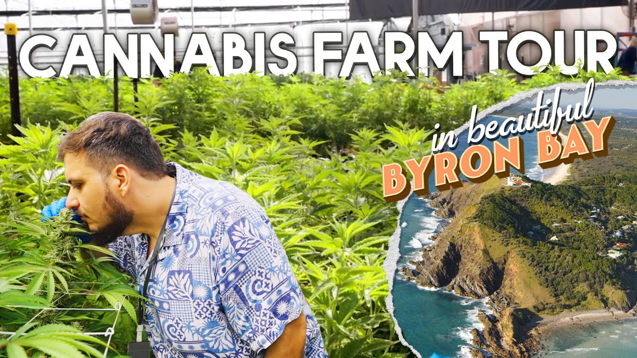 Australia's Chillest CannaCrib - Inside Superbly Green's Medical Cannabis Farm