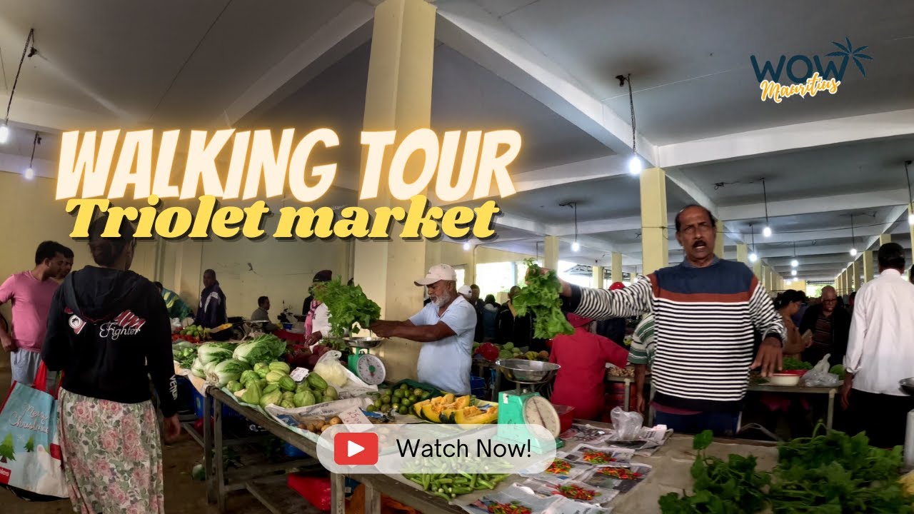Triolet Market walking tour | Triolet, Mauritius