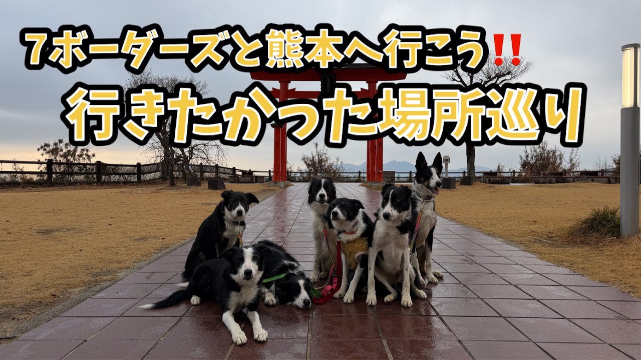 【猟師んちの7ボーダーズ】行きたかった場所巡り【7ボーダーズと熊本へ行こう‼️】