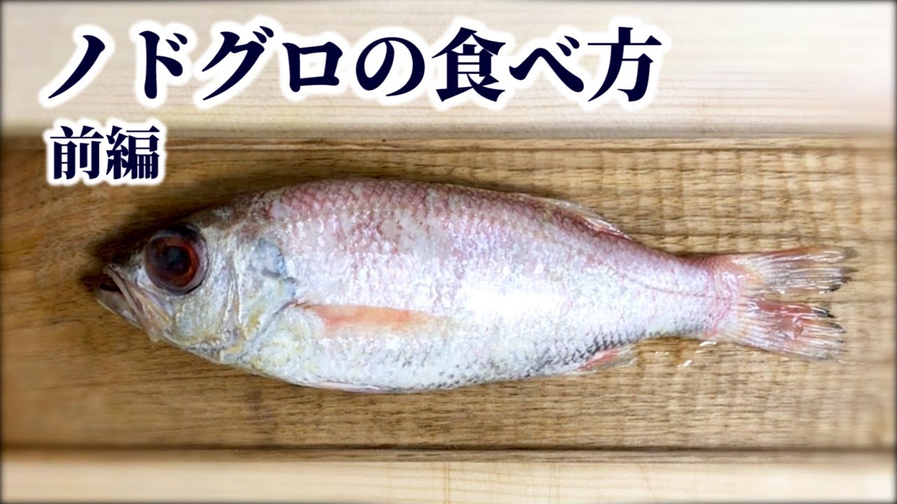 ノドグロ（アカムツ）の捌き方とおいしい食べ方を4種紹介！全身脂まみれの高級深海魚を捌いて煮付けにするまで【前編】