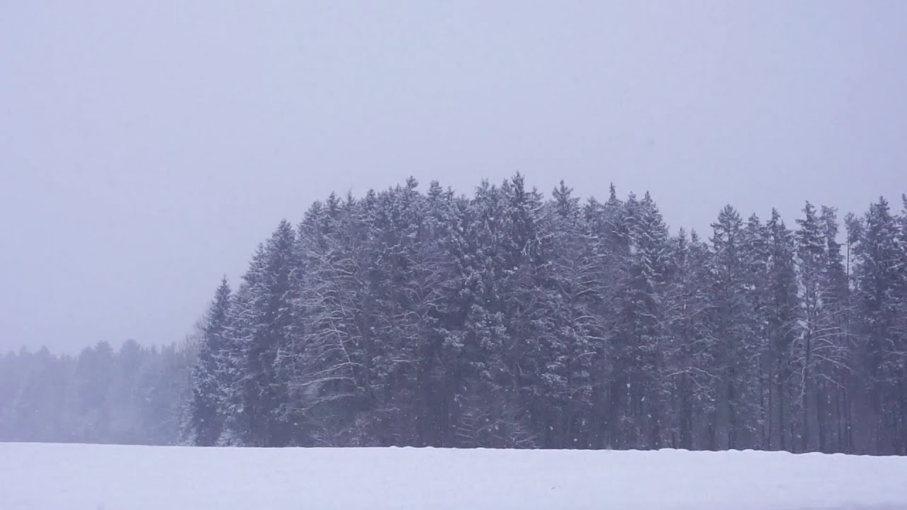 Schneesturm - Entspannung - Natur