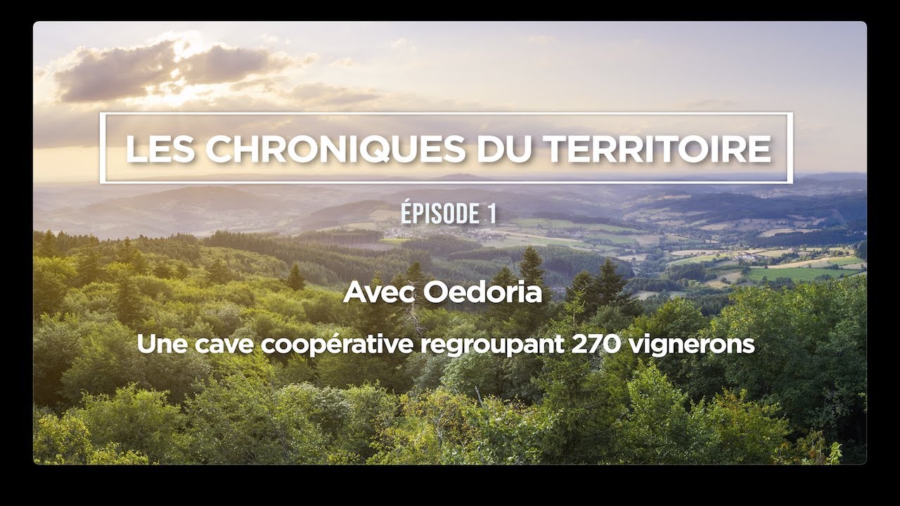 Épisode 1 - Les Chroniques du Territoire : Oedoria