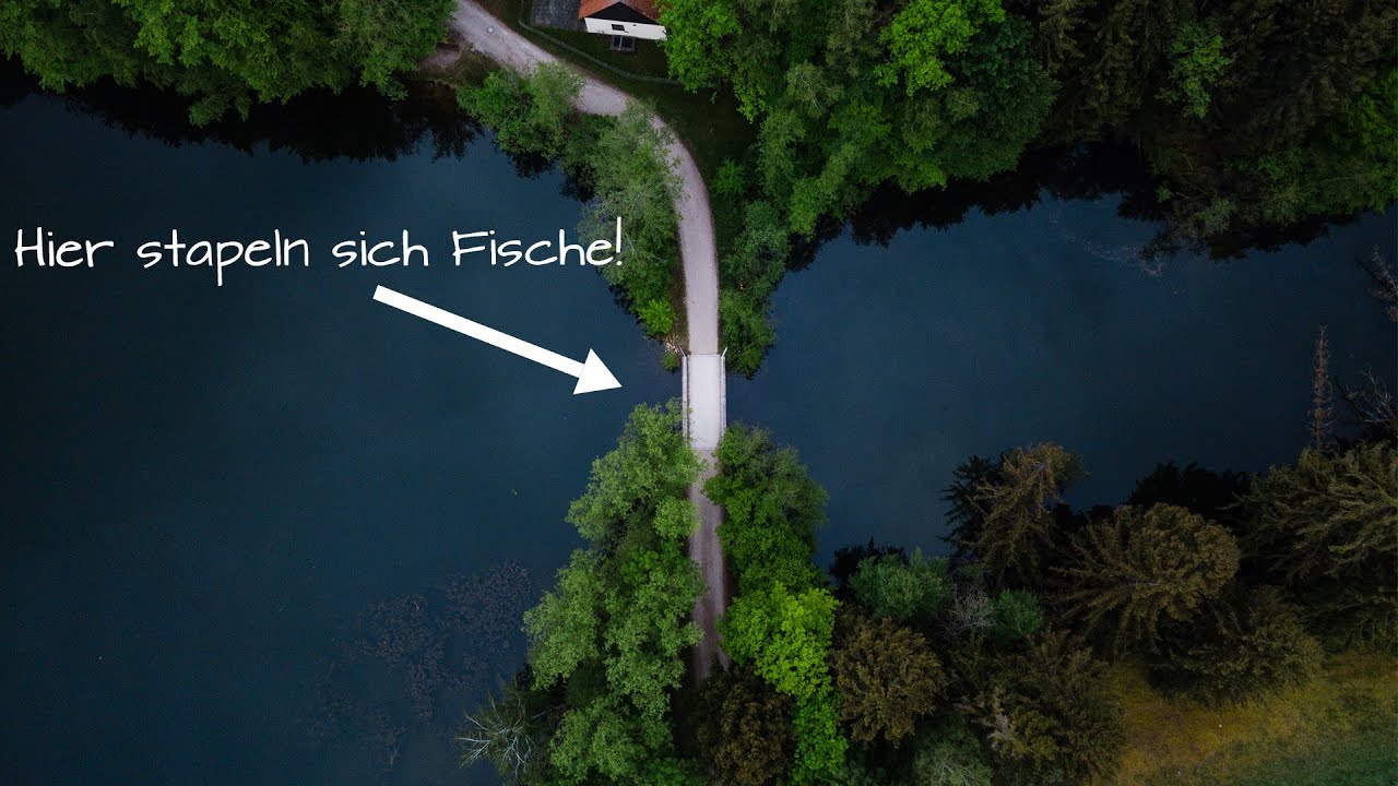 Karpfenangeln - 87 Hektar Stausee und wir fangen die Fische nur hier?! #2020