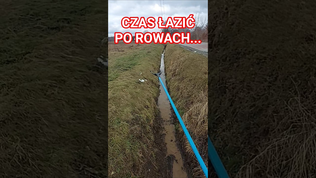 ONE SA WSZĘDZIE !! #kaucja #shortsvideo #shortsfeed #shorts #menel #top #viral #cash #recycle recycl