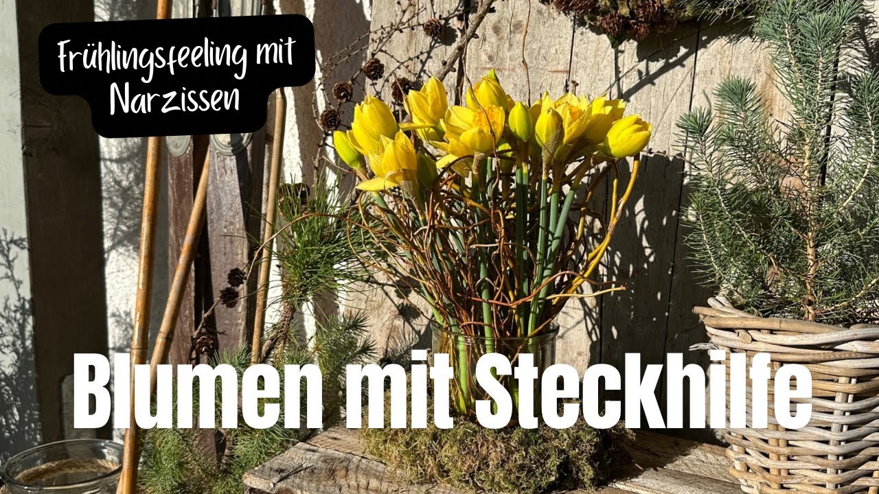 Frühlingsblumen (Narzissen, Tulpen ...)  mit einer natürlichen Steckhilfe, einfach und schön :)