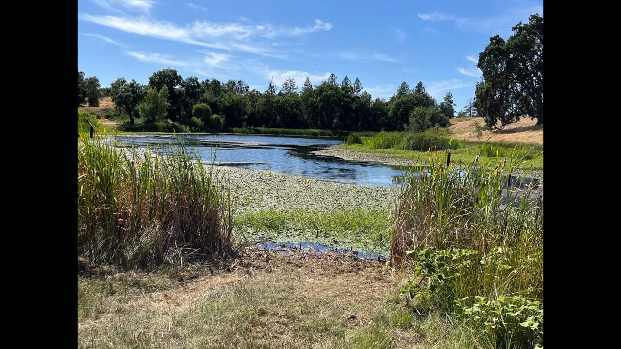 Little Indian Lake 12 Acres