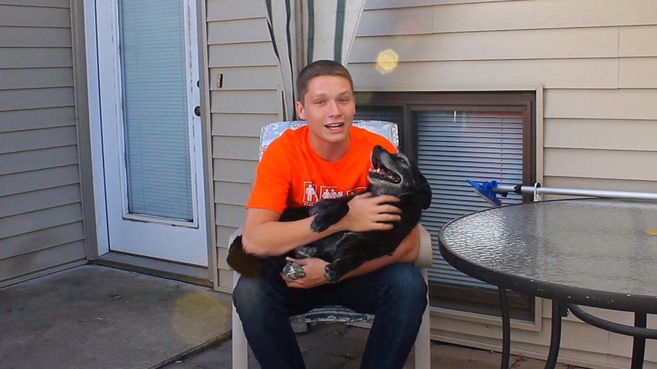 Видеоурок по настройке TmarTn (специально для 500 000 подписчиков)