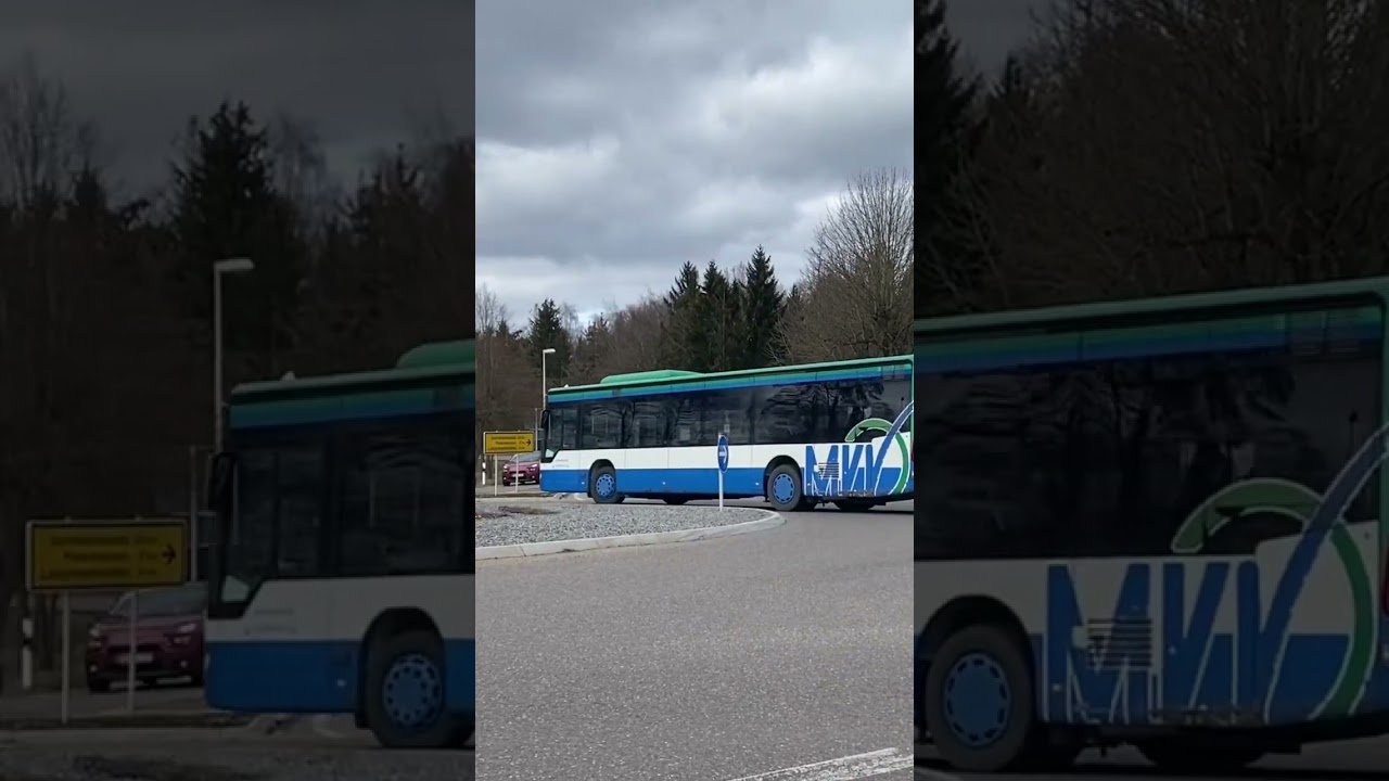 Citaro 1