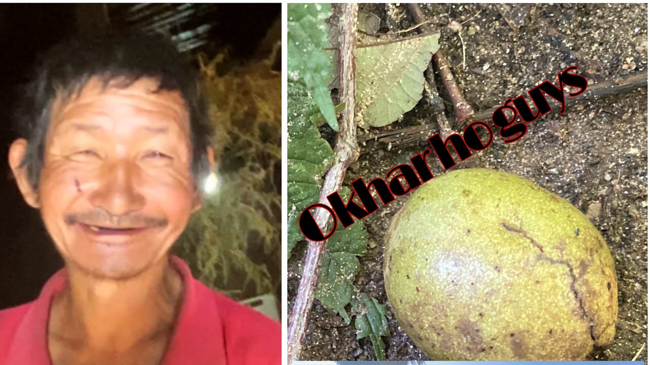 हाम्रो गाउँको ओखर हो गाइज यस्तै छ।,🇳🇵🥹☹️