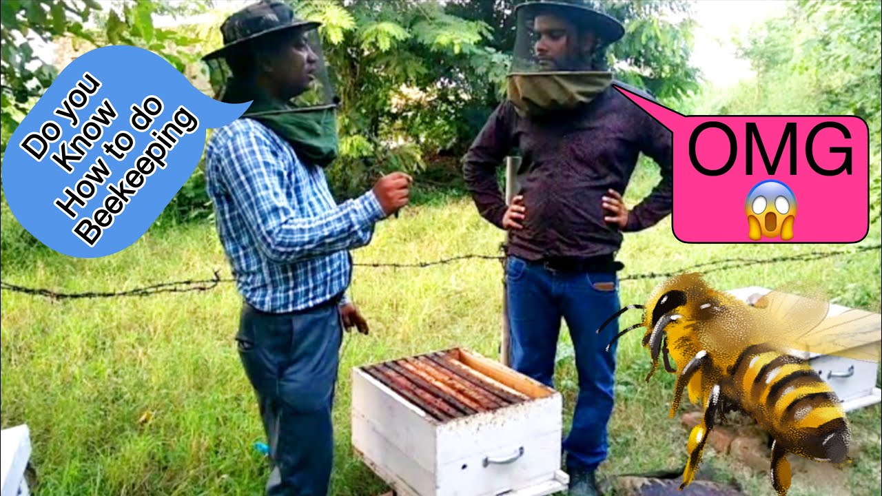 Beekeeping (मधुमक्खी पालन)