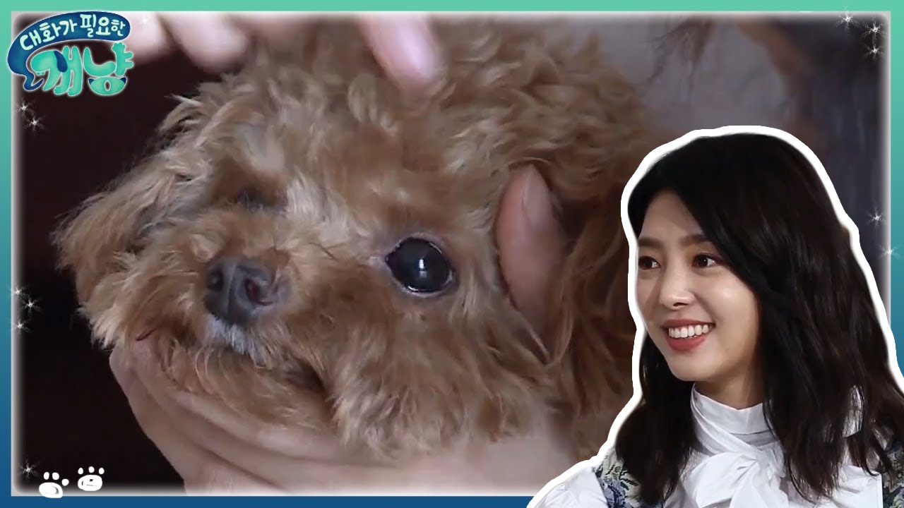 엄현경과 깜찍뽀짝 반려견 푸딩 | #대화가필요한개냥 EP16 #07