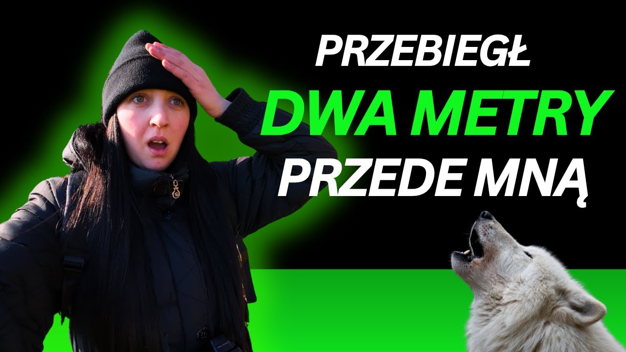W TERENIE odc. 11 / ALE SPOTKANIE!  POSZUKIWANIE ZRZUTÓW - CIĄG DALSZY #zrzuty2025
