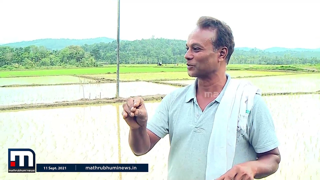 കാര്‍ഷിക കേരളത്തിന്റെ സമഗ്ര ചിത്രവുമായി കൃഷി ഭൂമി | Mathrubhumi News