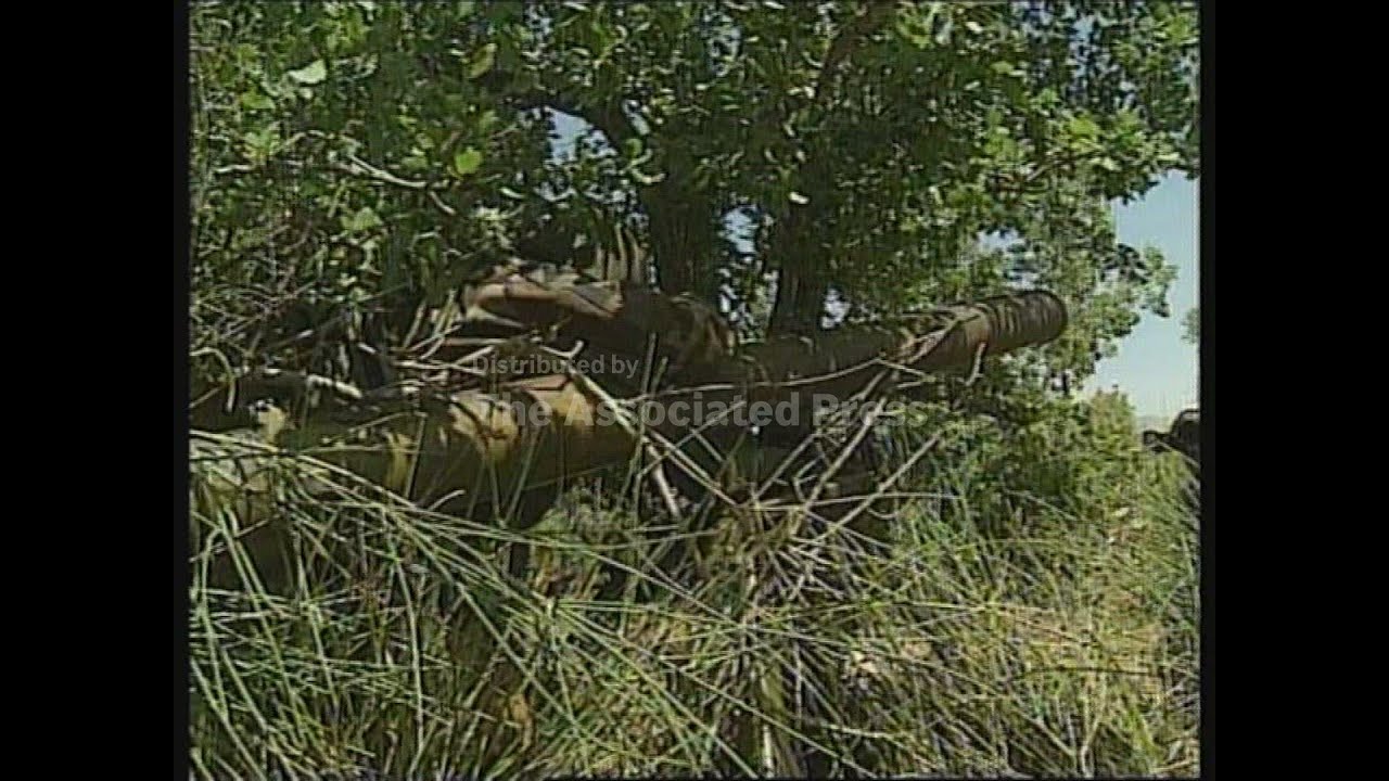 Hezbollah frontline tour in Southern Lebanon