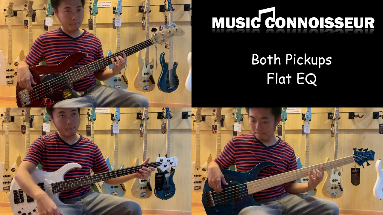 Comparing Sire V3 & M2 Marcus Miller Bass Guitars