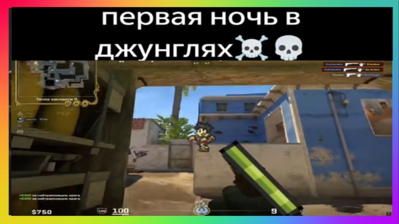 Тик ток в джунглях | подборка мемов
