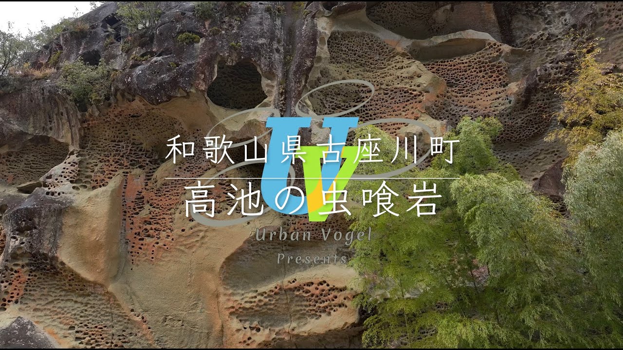 #174 和歌山県 高池の虫喰岩Mushikui-iwa Rock of Takaike/Wakayama pref.